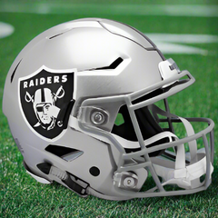 たこ焼きマントマン Riddell speed flex Lサイズ SF_Unbranded