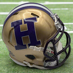 Custom Riddell Speed Authentic Mini Football Helmets