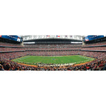 Houston Texans 1000pc Panoramic Puzzle - 50yd line