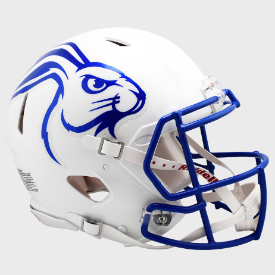South Dakota State Jackrabbits Riddell Speed Replica Full Size Football Helmet