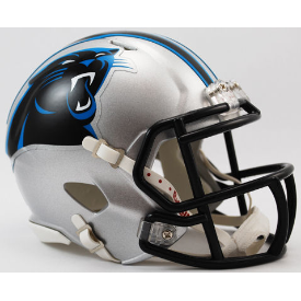 Carolina Panthers On Field Alternate Authentic SpeedFlex, Alternate Design, NFL, Collectibles, Open Catalogue