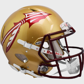 Florida State Seminoles Metallic Paint Riddell Speed Authentic Full Size Football Helmet