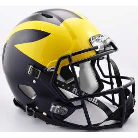 Michigan Wolverines Painted Wings Riddell Speed Authentic Full Size Football Helmet