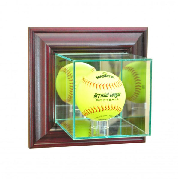 Wall Mounted Softball Display Case